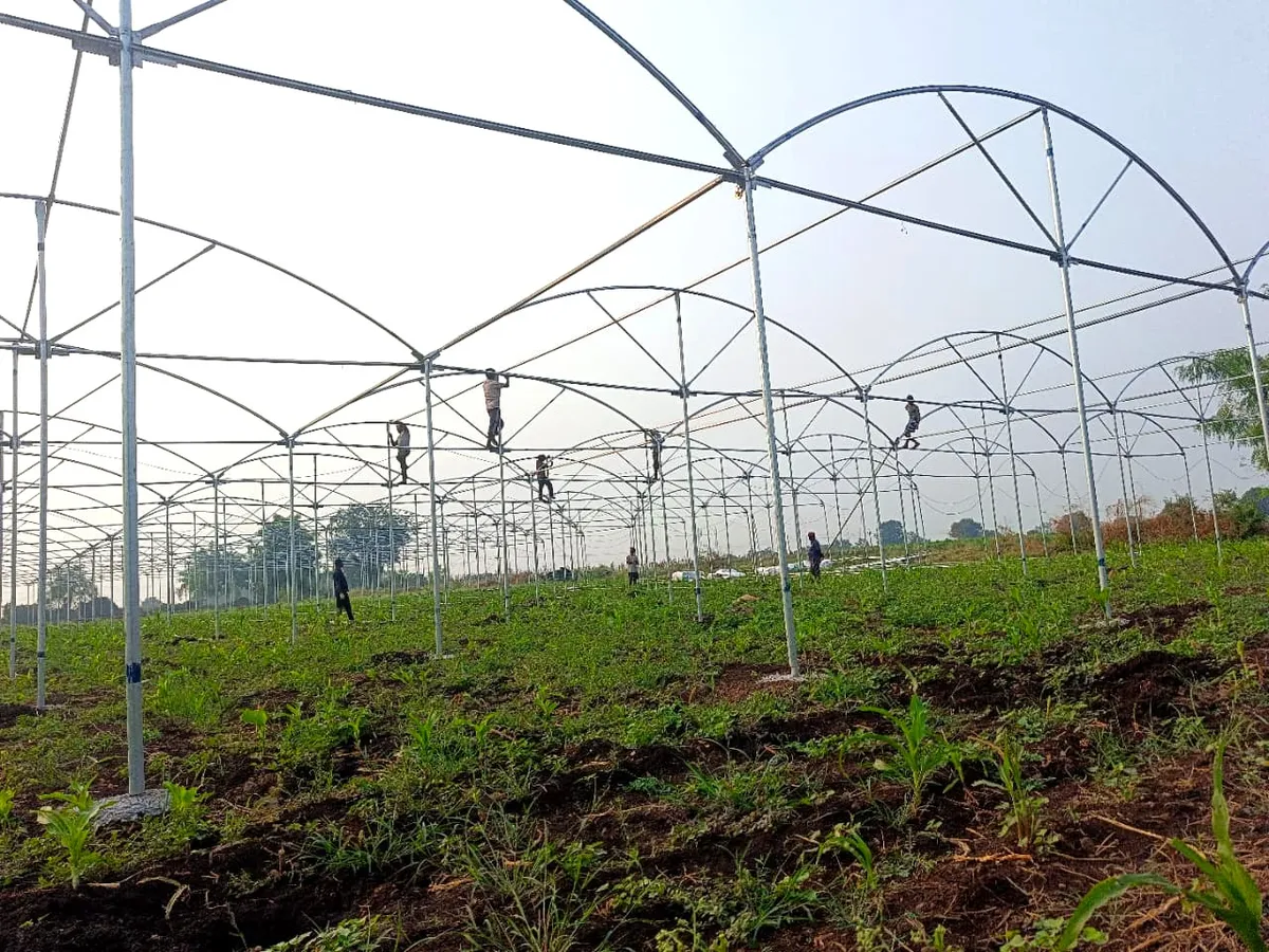 ICON Horticulture Field Work - Polyhouse & Net House Construction